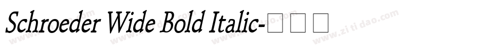 Schroeder Wide Bold Italic字体转换